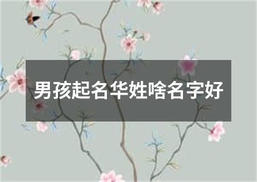 男孩起名华姓啥名字好