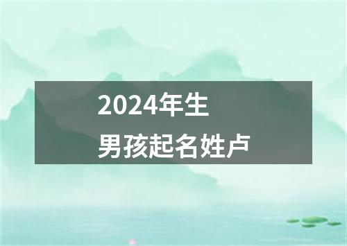 2024年生男孩起名姓卢