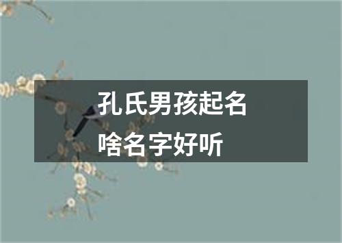 孔氏男孩起名啥名字好听