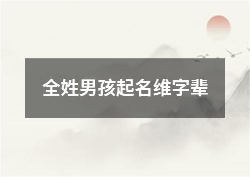 全姓男孩起名维字辈