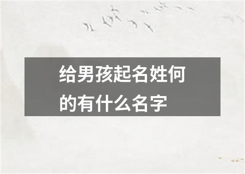 给男孩起名姓何的有什么名字