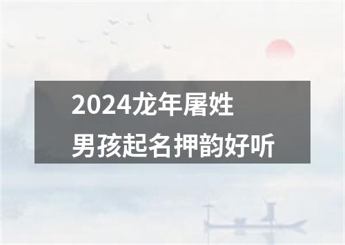 2024龙年屠姓男孩起名押韵好听