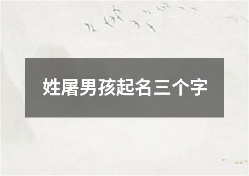 姓屠男孩起名三个字