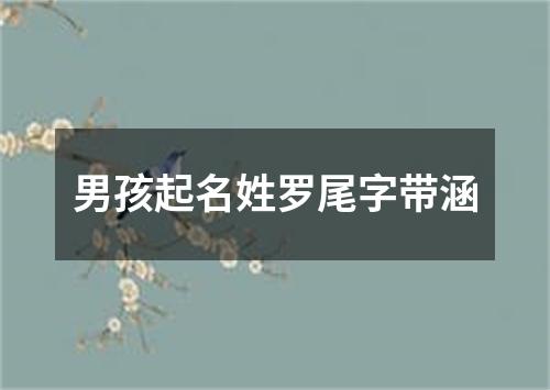 男孩起名姓罗尾字带涵