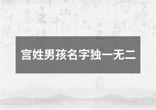 宫姓男孩名字独一无二