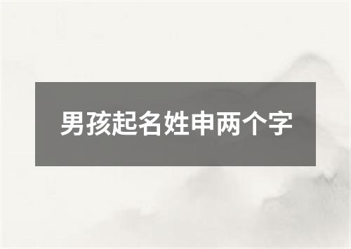 男孩起名姓申两个字