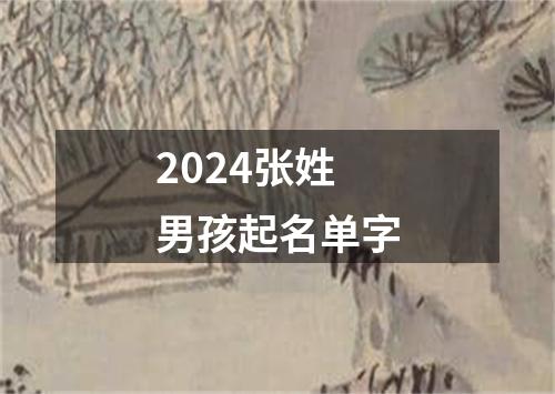 2024张姓男孩起名单字