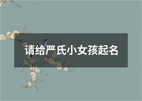 请给严氏小女孩起名