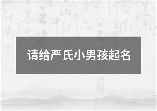 请给严氏小男孩起名