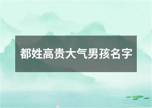 都姓高贵大气男孩名字