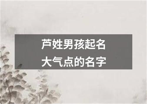 芦姓男孩起名大气点的名字