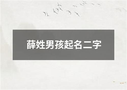 薛姓男孩起名二字