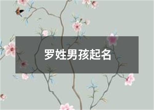 罗姓男孩起名