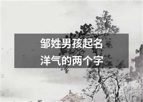 邹姓男孩起名洋气的两个字