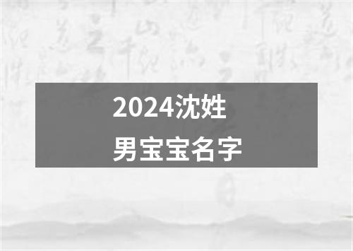 2024沈姓男宝宝名字