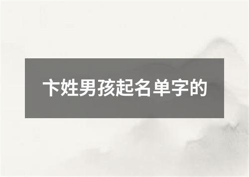 卞姓男孩起名单字的