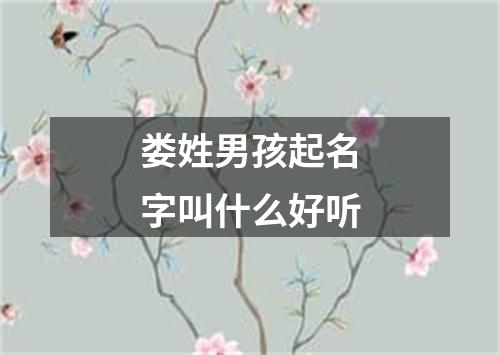 娄姓男孩起名字叫什么好听