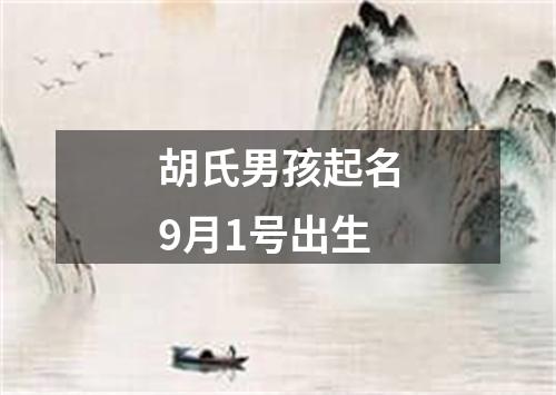 胡氏男孩起名9月1号出生