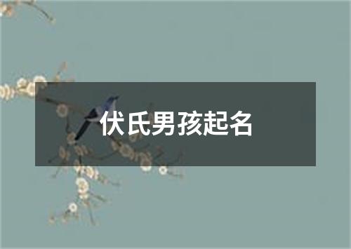 伏氏男孩起名