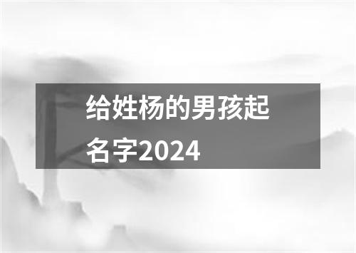 给姓杨的男孩起名字2024