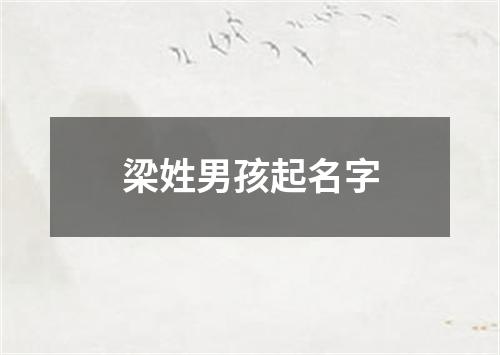 梁姓男孩起名字