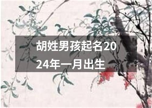 胡姓男孩起名2024年一月出生