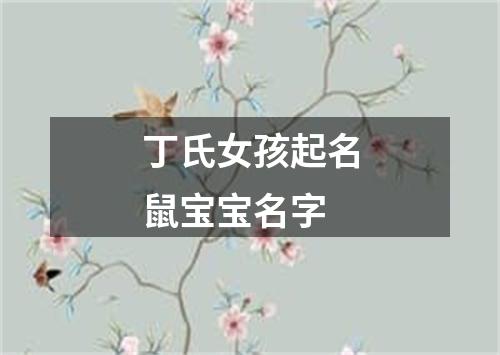 丁氏女孩起名鼠宝宝名字