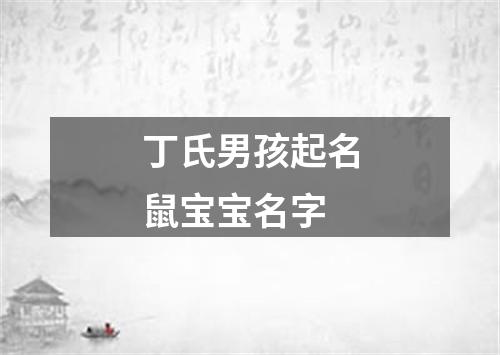 丁氏男孩起名鼠宝宝名字