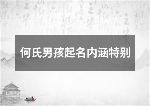 何氏男孩起名内涵特别