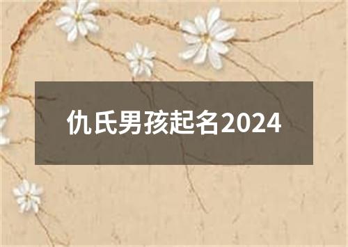 仇氏男孩起名2024