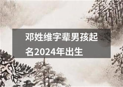 邓姓维字辈男孩起名2024年出生