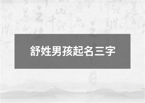 舒姓男孩起名三字