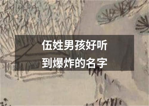 伍姓男孩好听到爆炸的名字