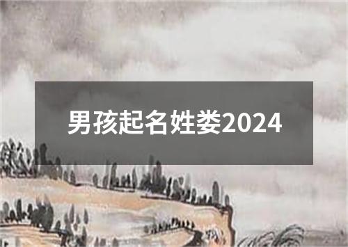 男孩起名姓娄2024