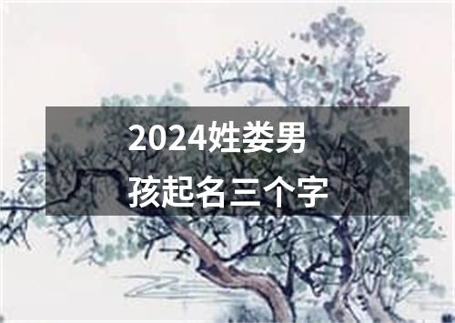 2024姓娄男孩起名三个字