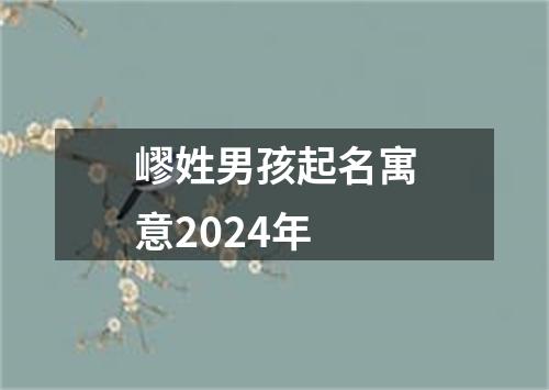 嵺姓男孩起名寓意2024年