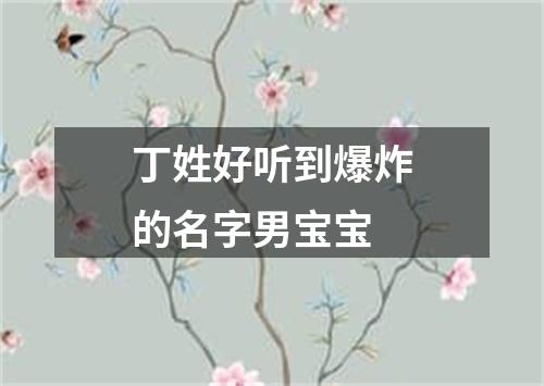 丁姓好听到爆炸的名字男宝宝