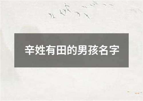 辛姓有田的男孩名字