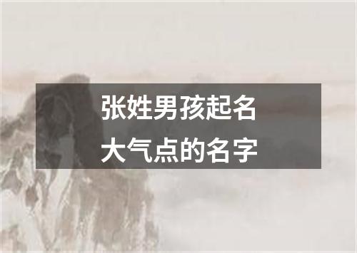 张姓男孩起名大气点的名字