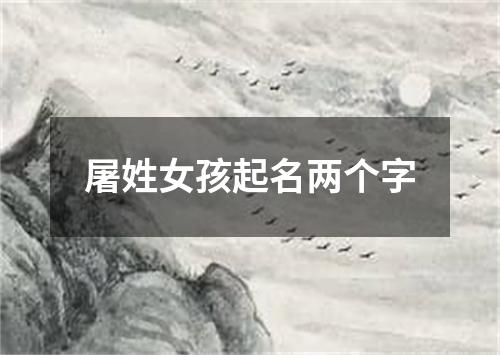 屠姓女孩起名两个字