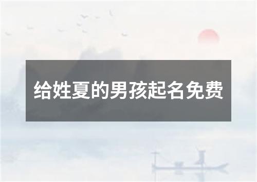 给姓夏的男孩起名免费