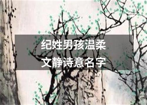 纪姓男孩温柔文静诗意名字