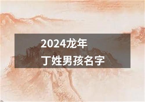 2024龙年丁姓男孩名字