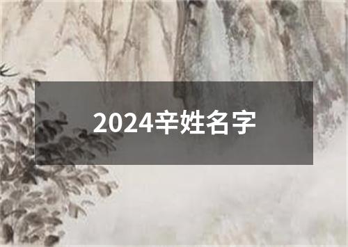 2024辛姓名字