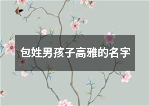 包姓男孩子高雅的名字