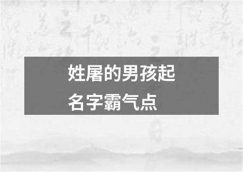 姓屠的男孩起名字霸气点