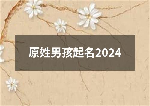 原姓男孩起名2024