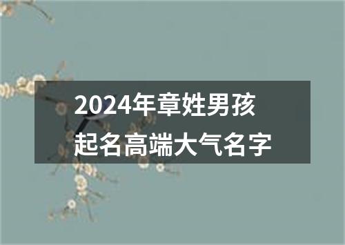 2024年章姓男孩起名高端大气名字