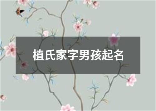 植氏家字男孩起名