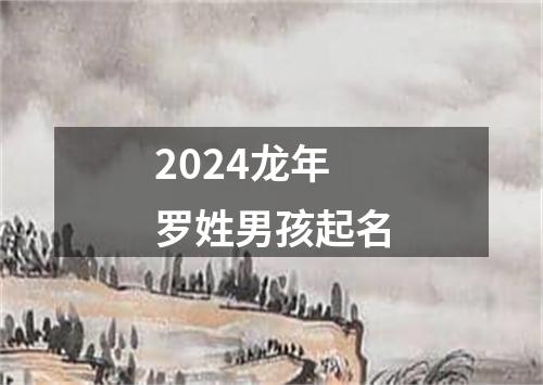 2024龙年罗姓男孩起名